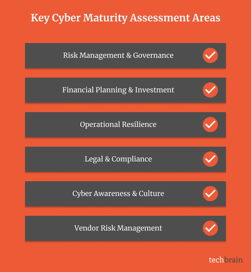 key cyber maturity assessment areas from a business management perspective